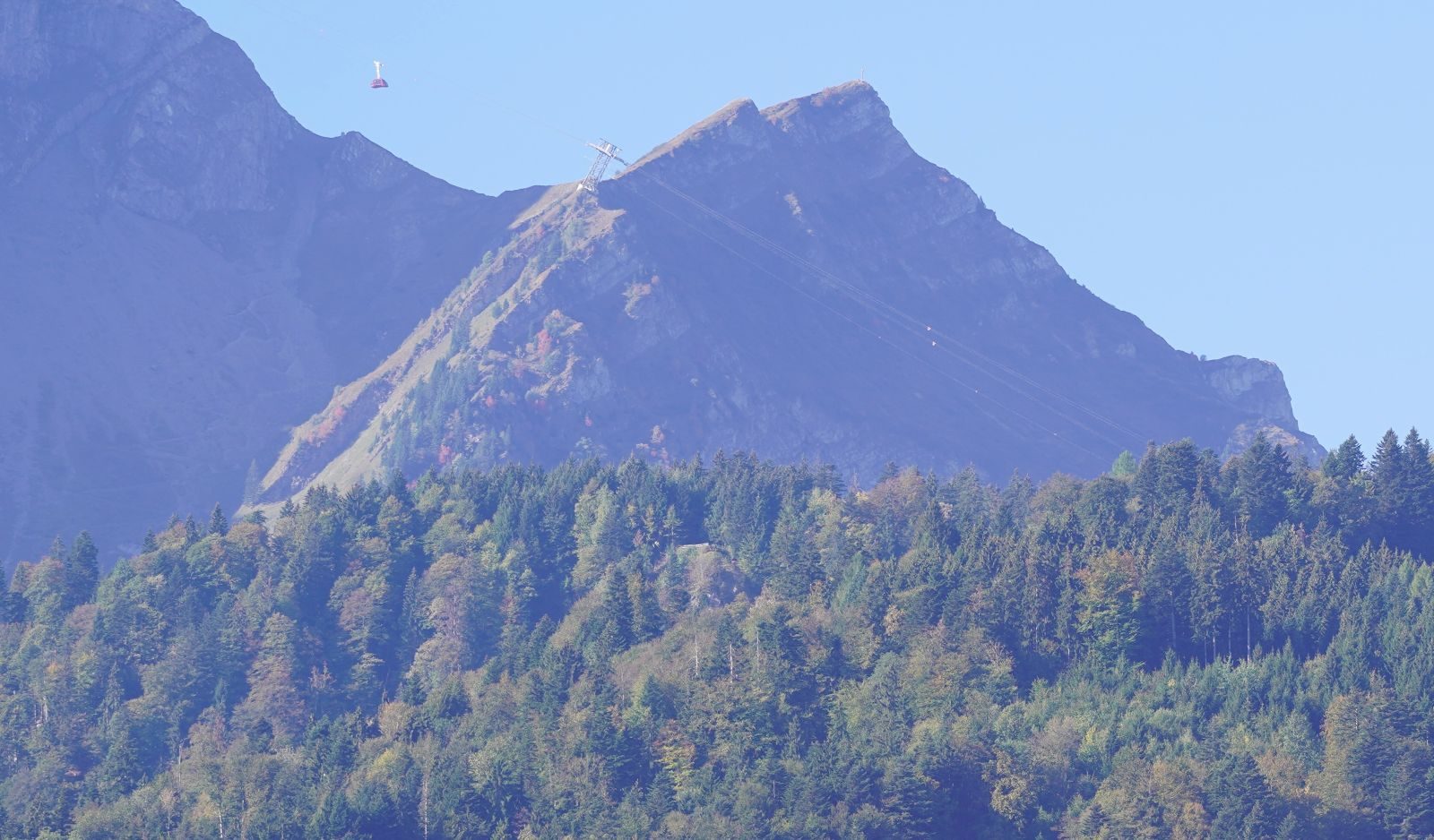 Trockenheit in den Horwer Wäldern: Beim Waldbesuch ist erhöhte Vorsicht geboten